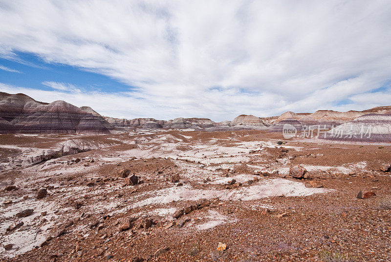 Blue Mesa的Badlands Formation